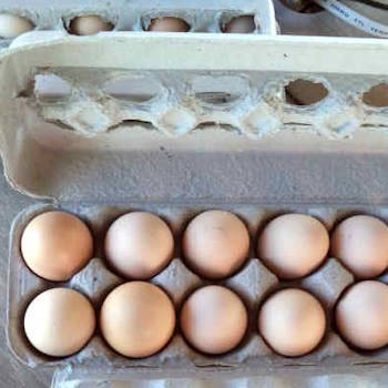 Local eggs
