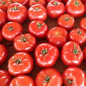 Red tomatoes at Brossmans