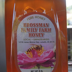 5 lb local honey